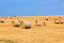 Petites annonces sous la catégorie Terrains